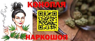 прущие крисы Кингисепп