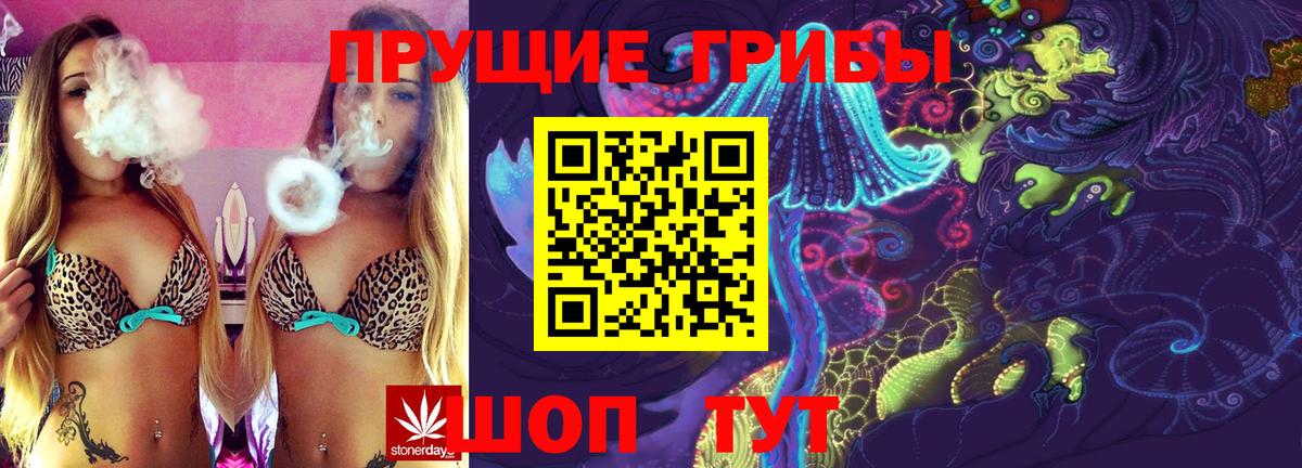 Стрежевой  Псилоцибиновые грибы Psilocybe  Вход с VPN 