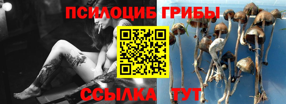 Галлюциногенные грибы прущие грибы Стрежевой